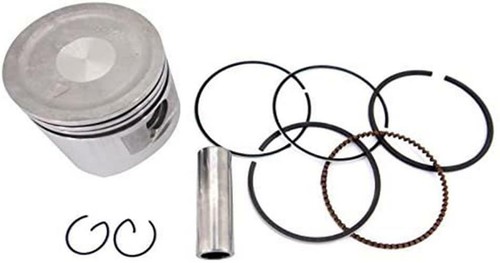 Piston kit for earthquake - kit,